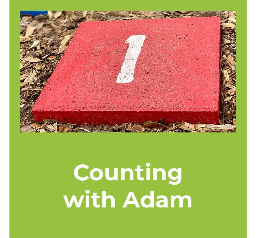 Counting with Adam